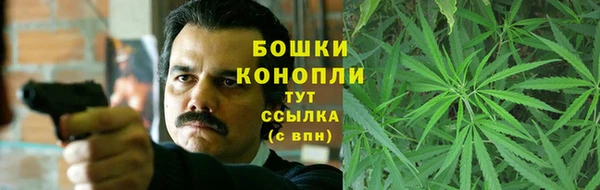 Альфа ПВП Горняк
