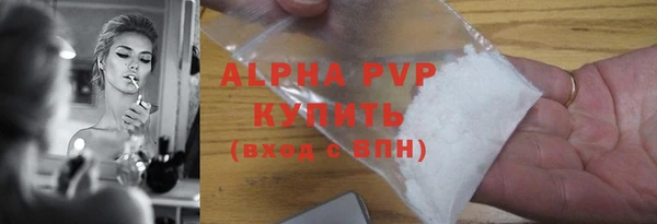 Альфа ПВП Горняк