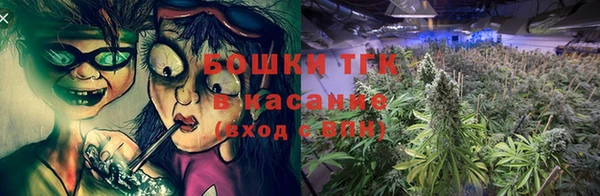 Альфа ПВП Горняк